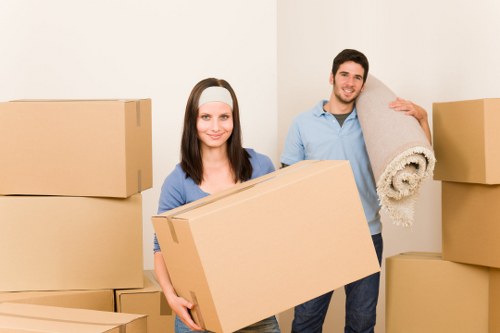 Insured man with van service handling furniture carefully in Kingston upon Thames