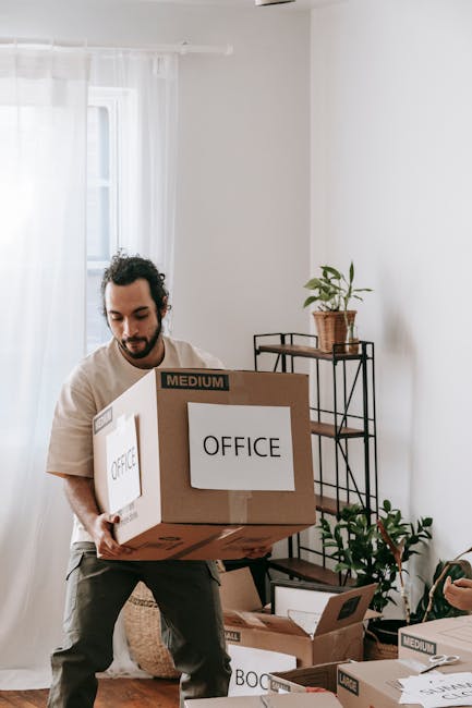 A man with dark, curly hair and a beard is inside a bright room, lifting a medium-sized cardboard box labeled 'OFFICE.' He is wearing a light-colored T-shirt and dark trousers. The room has a large window with sheer white curtains allowing natural light to illuminate the space. In the background, there is a black metal shelving unit with a potted plant on top and some smaller plants on the lower shelves. Several other cardboard boxes, some labeled 'MEDIUM,' are placed on the wooden floor nearby, indicating an office packing or moving process. The scene is part of a home relocation or commercial move, with [COMPANY_NAME] likely handling furniture transport and packing services, supporting a professional house removals or business relocation in Kingston upon Thames.